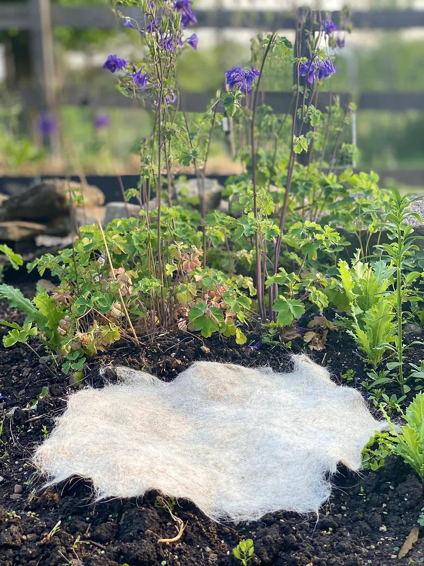 Wildflower Mat - Pollinator Mix